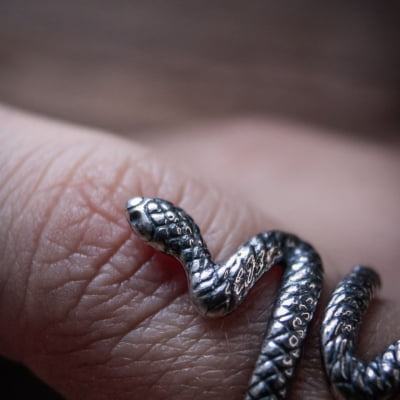 ANEL COBRA SNAKE PRATA 925
