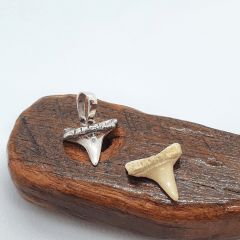 Pingente shark tooth Prata 950