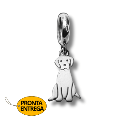 PINGENTE/BERLOQUE PET CACHORRO SEM RAÇA DEFINIDA VIRA LATA  PRATA 925
